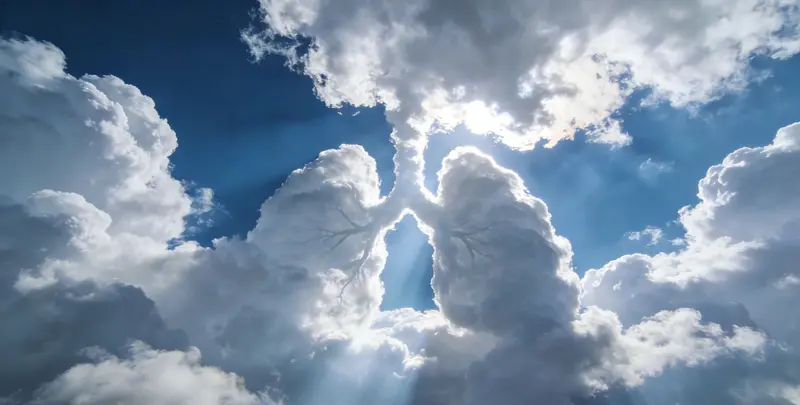 长春肺癌12基因ctDNA突变检测(血液）图片1