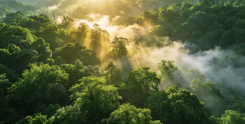 长春肺癌68基因检测图片1